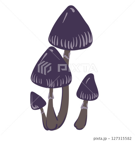 Poisonous mushrooms , toadstool, inedible toxic mushroom, fly agaric, white toadstool. Isolated hand drawn doodle illustration on a white background. Potion ingredient, Magic, Halloween 127315582