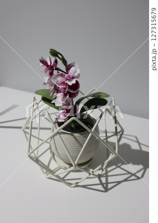 An Elegant Orchid beautifully arranged in a stylish Geometric Planter, perfect for any decor An Elegant Orchid beautifully arranged in a stylish Geometric Planter, perfect for any decor 127315679