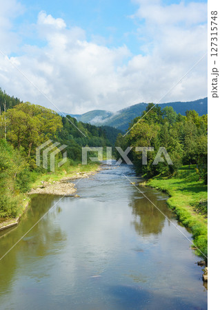 Scenic mountain river landscape with forest and cloudy sky in the Ukrainian Carpathians 127315748