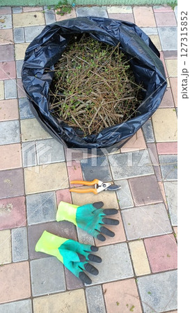 A Collection of Gardening Tools and Debris Gathered in a Bag on a Paved Surface Area 127315852