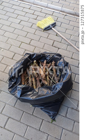 Collected various sticks and placed them in a black trash bag using a broom for gathering Collected various sticks and placed them in a black trash bag using a broom for gathering 127315875