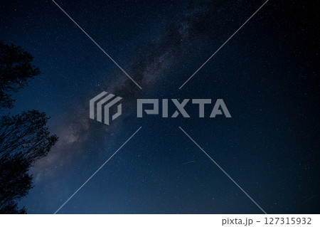 奥日光戦場ヶ原の夜空に浮かぶ幻想的な天の川　山梨県 127315932