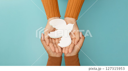 Hands gently holding a white dove symbolizing peace, harmony, human rights, and anti-violence values 127315953