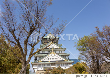 春の大阪城（2025年4月撮影） 127316064
