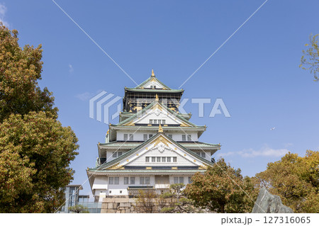春の大阪城(2025年4月撮影) 春の大阪城(2025年4月撮影) 127316065