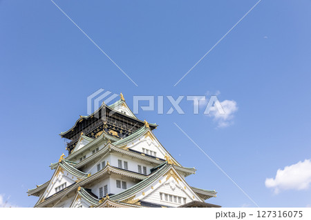 春の大阪城(2025年4月撮影) 春の大阪城(2025年4月撮影) 127316075