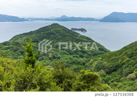 日本の広島県福山市の横島の美しい風景 127316308