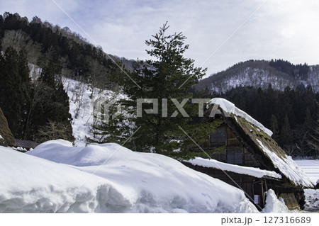 春先の岐阜県白川郷の古民家 春先の岐阜県白川郷の古民家 127316689