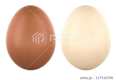 Brown and white chicken eggs front view. 3D rendering Brown and white chicken eggs front view. 3D rendering 127316706