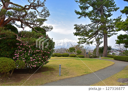 弘前藤田記念庭園からの岩木山 127316877