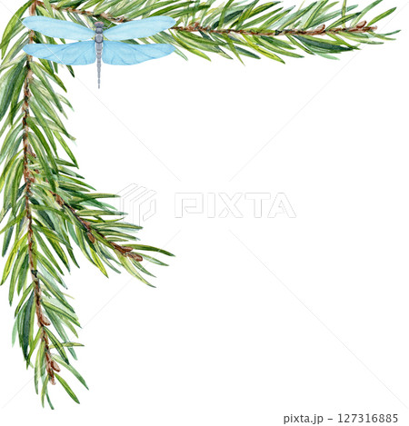 Fir branches forming a corner frame with two dragonflies. Watercolor illustration isolated on white ideal for eco branding, packaging, wedding invites, seasonal greeting cards, natural product labels 127316885
