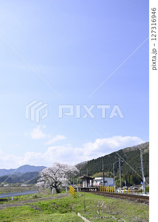 木知原駅の桜 127316946