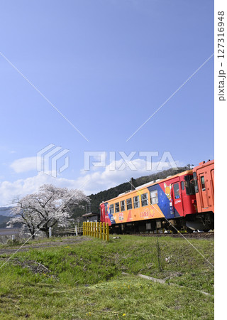 木知原駅の桜 127316948