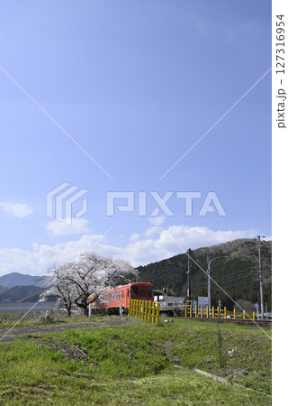 木知原駅の桜 127316954