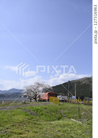 木知原駅の桜 木知原駅の桜 127316963