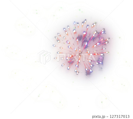 花火　背景　透明　PNG ポスター　チラシなどに 127317013