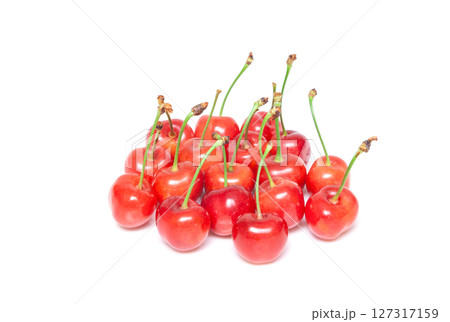 大粒のサクランボ紅秀峰【白背景・切り抜き】 大粒のサクランボ紅秀峰【白背景・切り抜き】 127317159