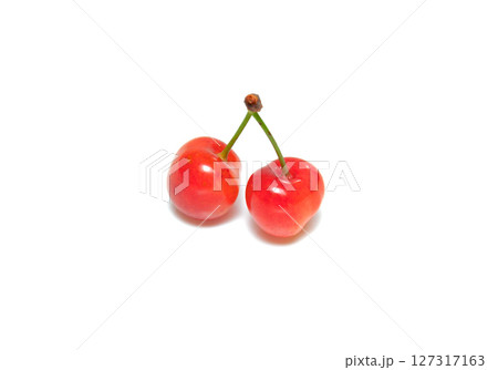 大粒のサクランボ紅秀峰【白背景・切り抜き】 127317163