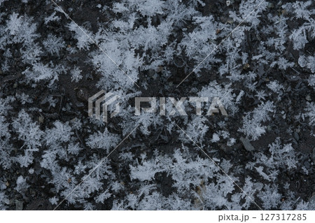 アスファルト上にできた雪の結晶群 アスファルト上にできた雪の結晶群 127317285