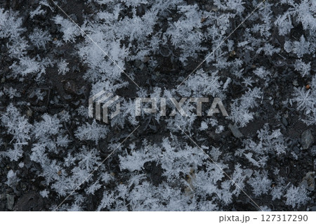 アスファルト上にできた雪の結晶群 アスファルト上にできた雪の結晶群 127317290