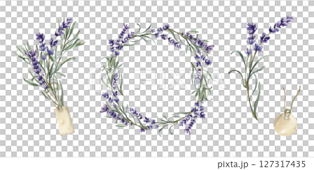 Lavender bouquet with vintage tag,floral violet wreath, blooming flowers stem and paper tag watercolor illustrations set. Isolated elements with aroma herb flowers for wedding,packing design 127317435