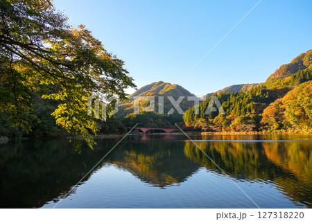 群馬県安中市 秋の碓氷湖 127318220