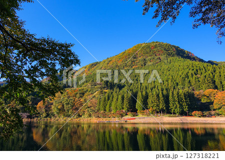 群馬県安中市 秋の碓氷湖 127318221