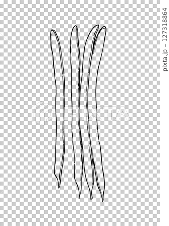 いんげん豆　手描き線画 127318864