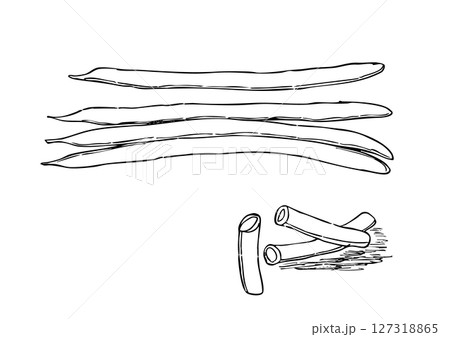 いんげん豆 丸ごと・カット 手描き線画 いんげん豆 丸ごと・カット 手描き線画 127318865