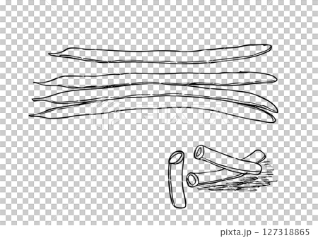 いんげん豆 丸ごと・カット 手描き線画 いんげん豆 丸ごと・カット 手描き線画 127318865
