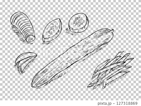 Cucumber, whole and cut, hand-drawn line drawing Cucumber, whole and cut, hand-drawn line drawing 127318869