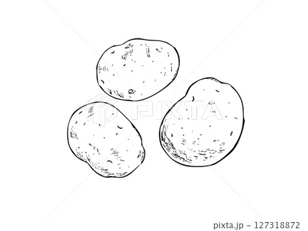 じゃが芋　手描き線画 127318872