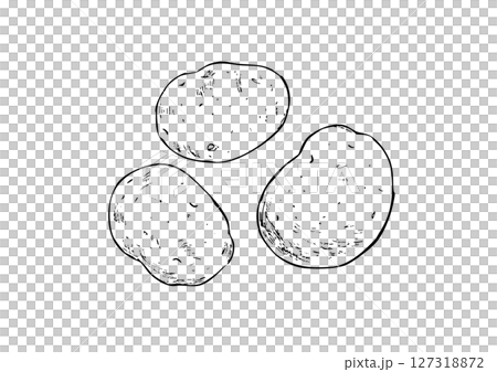 じゃが芋　手描き線画 127318872