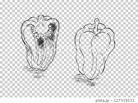 ピーマン　丸ごと・カット手描き線画 127319131