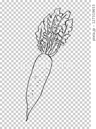 大根　丸ごと　手描き線画 127319653