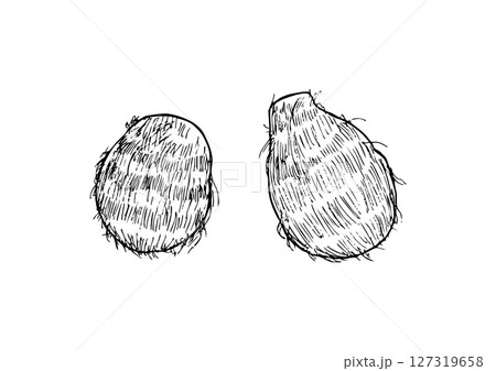 里芋　丸ごと　手描き線画 127319658