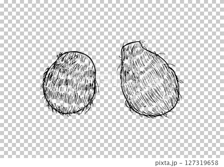 里芋　丸ごと　手描き線画 127319658