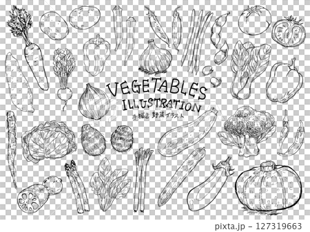 野菜　手描きイラストセット　線画 127319663