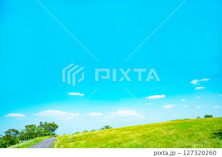 青空と雲と草原 青空と雲と草原 127320260