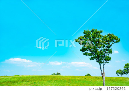 青空と雲と草原 127320261