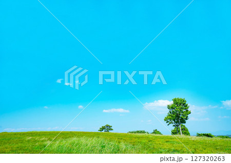 青空と雲と草原 127320263