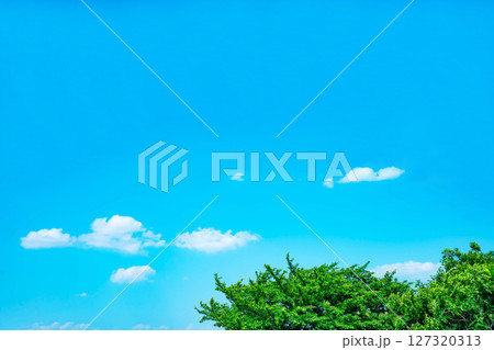 青空と雲と木立 127320313