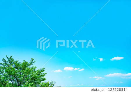 青空と雲と木立 127320314