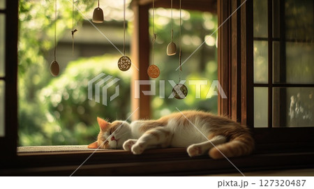 縁側で眠る猫と夏の風鈴 127320487