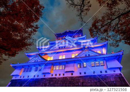 Osaka castle purple light up at night with red maple leaf in fall Osaka castle purple light up at night with red maple leaf in fall 127321508