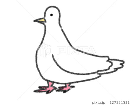 鉛筆画風の白いハトのイラスト 127321531
