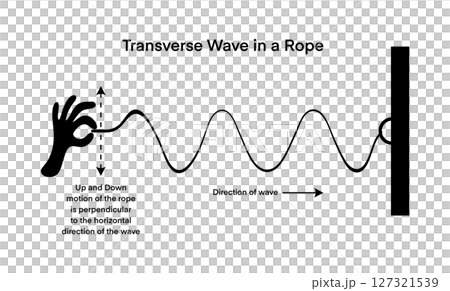 Educational infographic illustrating a transverse wave in a rope, showing perpendicular motion and wave direction. Perfect for physics teachers, students, and science learning resources 127321539