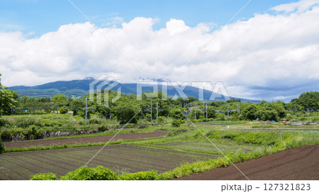 青空が広がる田園風景 127321823