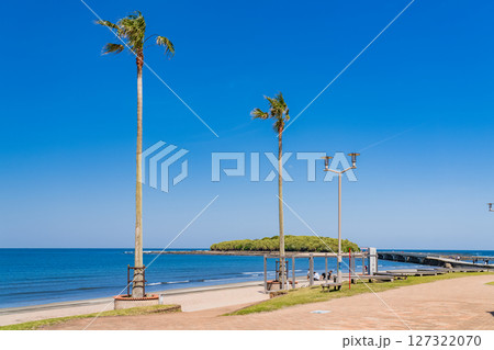 《宮崎県》南国・青島のビーチ 127322070