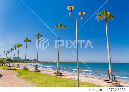 《宮崎県》南国・青島のビーチ 《宮崎県》南国・青島のビーチ 127322081